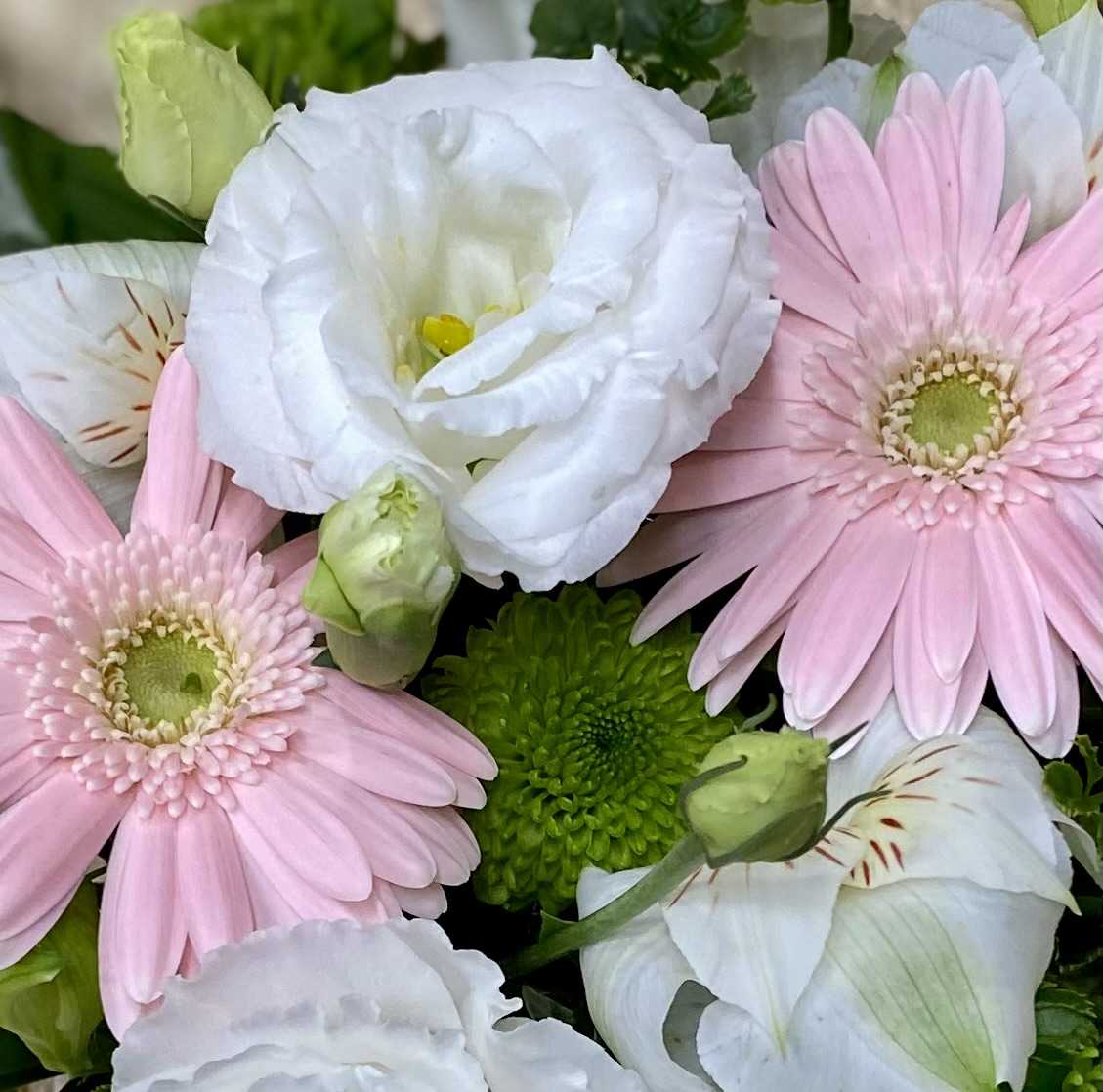 【ペットの御供】ペットのお供えのお花はいかがですか
